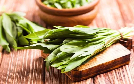 'Medvehagyma csomagoló üzem keres több pozícióban munkavállalókat' cikk borítóképe