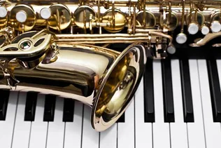 Légy zenésze a Magyar Honvédség Veszprémi Légierő Zenekarának borítóképe