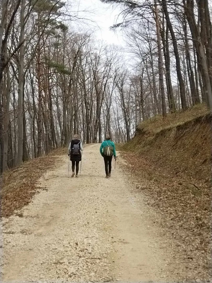 Fotók, Vadon Vándorai 