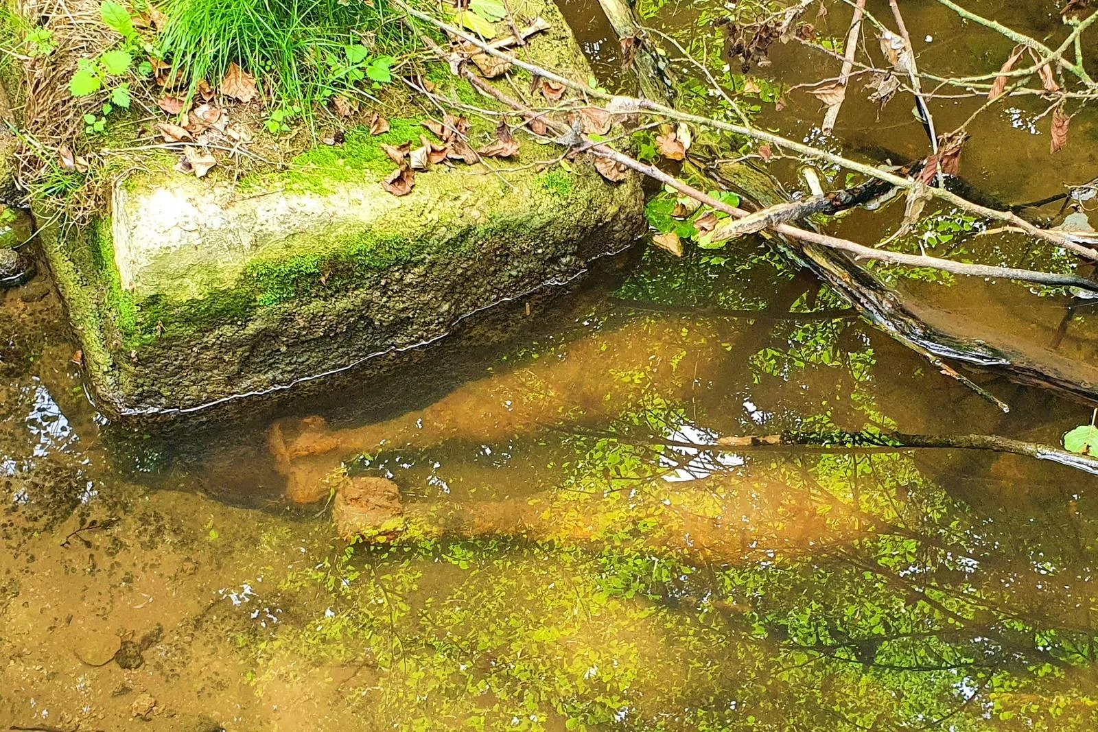 Fotók: Kapitány Gábor hadnagy, Vass Tamás főtörzsőrmester