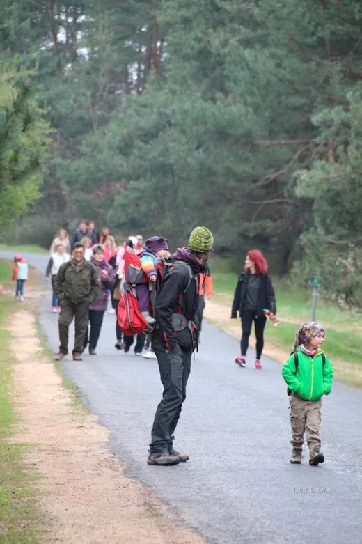 'Második Fenyőfői Medvehagymás Családi Nap' cikk borítóképe