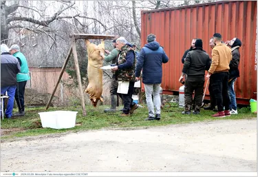 MosolyTOR / Disznóvágás