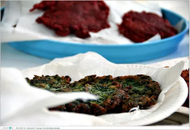 Szüretelő Falunap Szentkirályszabadja