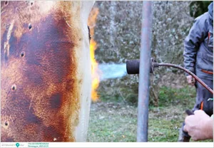 Pénzesgyőr, Falusi Disznóvágás 2025