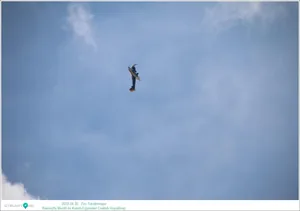 Fotók, Útirány.hu: