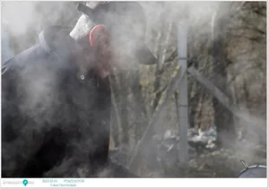 Fotók: Útirány.hu