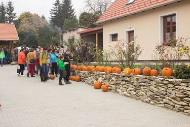 Fotók 1 album: Babai Lalinda