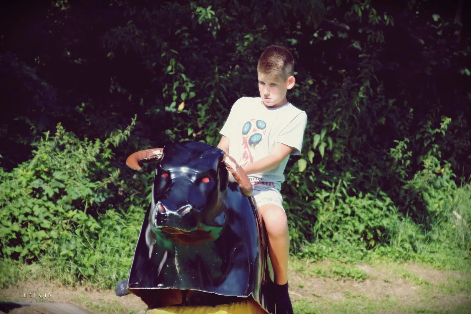 2018 Falunap Fotó: LuiLand