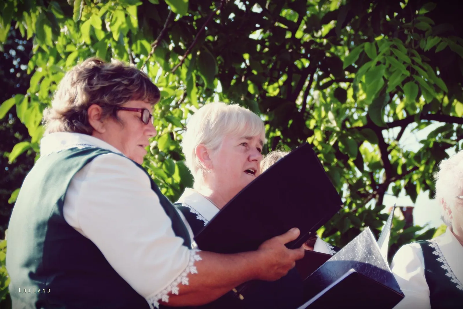 Falunap Fotó: LuiLand