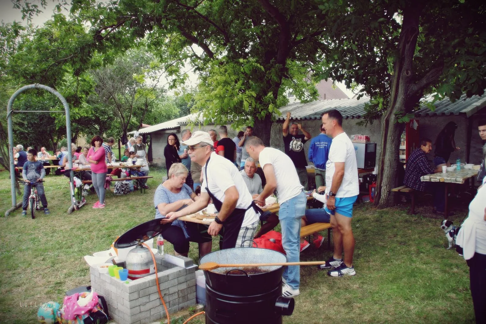 Falunap Fotó: LuiLand