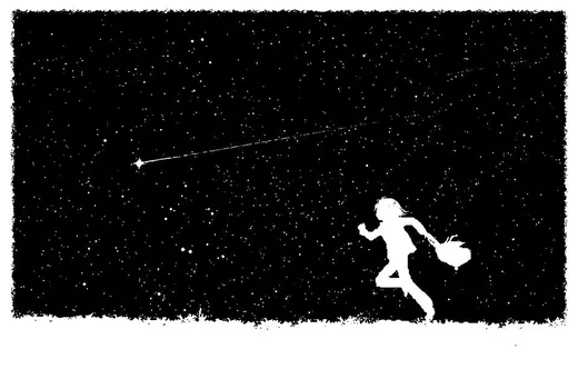 'Hullócsillag-vadászat ' cikk borítóképe