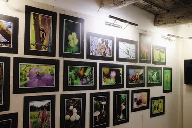 Klesitz Róbert fotókiállítás megnyitó. / Képek: Útirány.hu