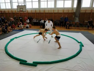 Ösküi birkózó palánták szereplése borítóképe