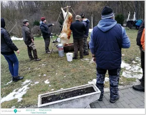 Fotók: Pénzesgyőr Önkormányzat