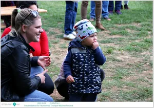 Helyszínen készült fotók