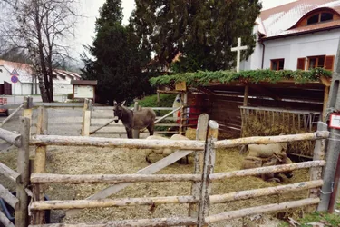 Betlehem 2019 Fotó: Nagy Ferenc