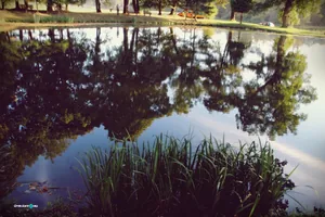 Teremtés Napja 2018. Fotók: Útirány.hu