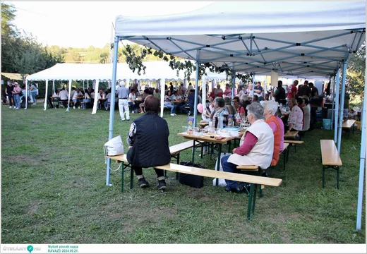 'Nyitott pincék napja, zenés szüreti forgatag' cikk borítóképe