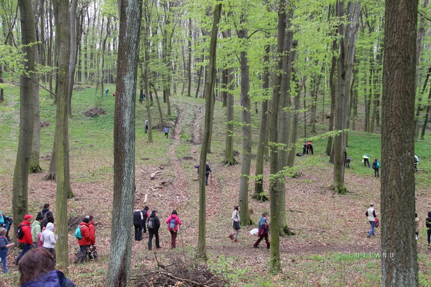 Fotók és kisfilm: Útirány.hu