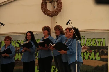 XIV. Bakonyi Krumpliszüreti és Művészeti Fesztivál 2016