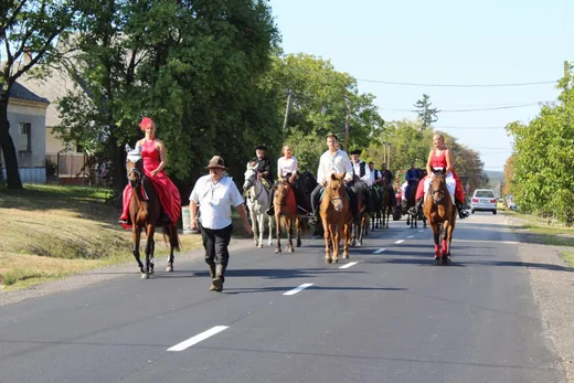 'Szüreti felvonulás és utcabál' cikk borítóképe