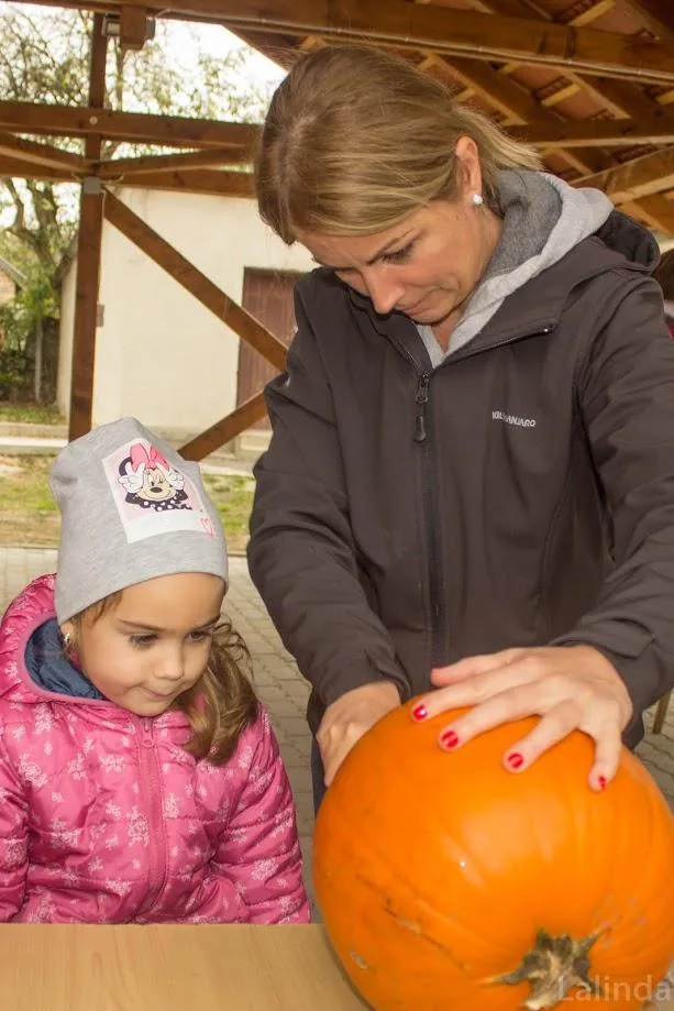 Fotók 1 album: Babai Lalinda