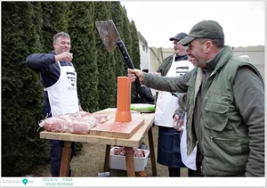 Fotók, Útirány.hu 