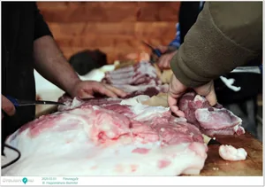 III. Hagyományos disznótor / Képek: Útirány.hu