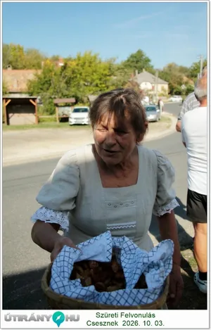 Képek