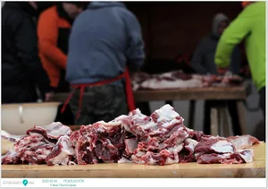 Fotók: Útirány.hu