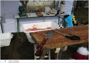 Fotók: Útirány.hu, Kiss Szabó Zoltán