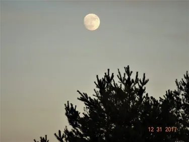 Kedvcsináló képek tavalyról! Fotók: Horváth Attila