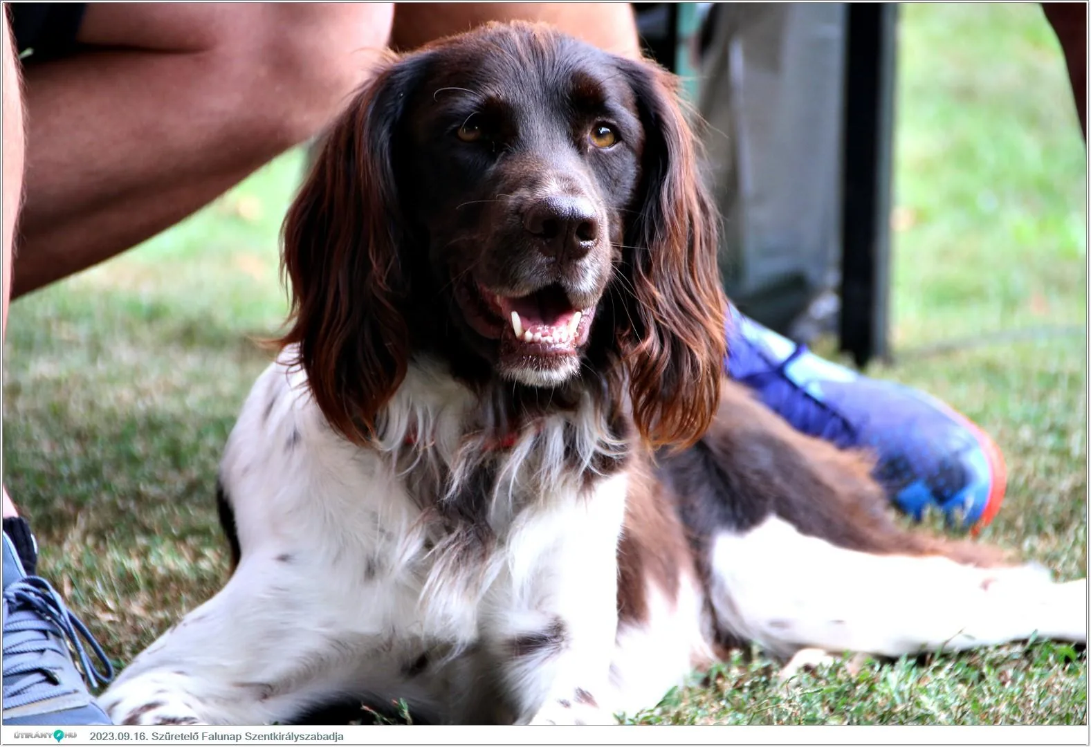 Fotók, Útirány.hu