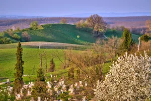 Fotók: Nánási István