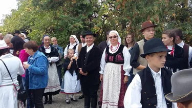 Sólyi Szüreti felvonulás