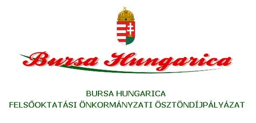 'Bursa Hungarica Ösztöndíjpályázat eredményei' cikk borítóképe
