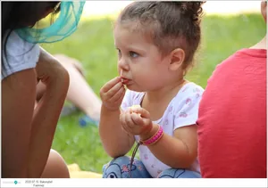 Fotók, Útirány.hu: