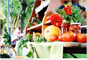 Fotók, Útirány.hu