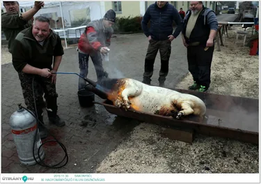 Képek a rendezvényről