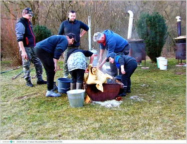 Falusi Disznóvágás
