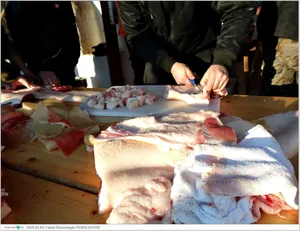 Fotók, Útirány.hu