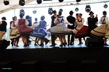 Bakonyi Vágta 2019