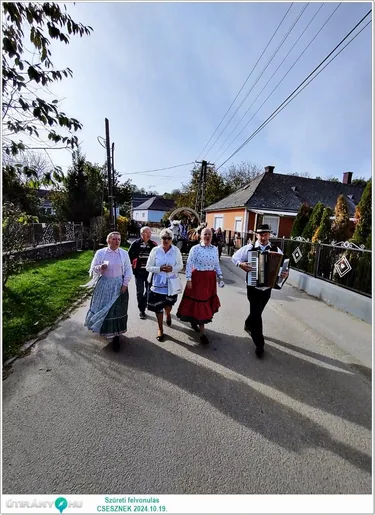 Szüreti felvonulás és Bál