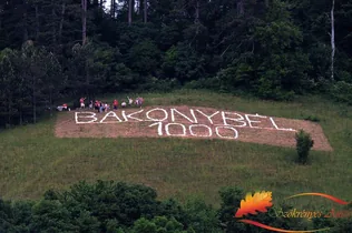 Kőből rakott felirat Köves-hegy kopár lejtőjén borítóképe