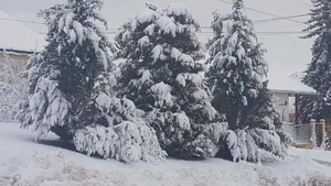 Fotó: Veinperlné Kovács Andrea