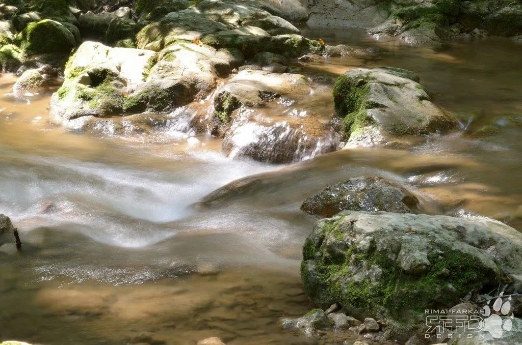 TúraBot 2018 19.hét