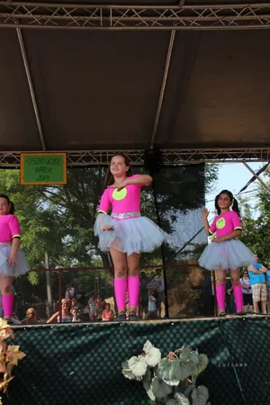 2017 Ösbő Vezér napok/ szombat/ képekben