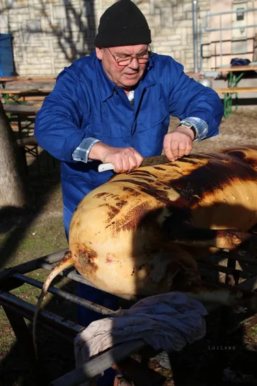III. Falusi disznóvágás beszámoló fotókkal