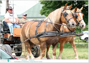 Helyszínen készült fotók