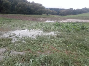 Gerence Pénzesgyőr 2018.09.04.